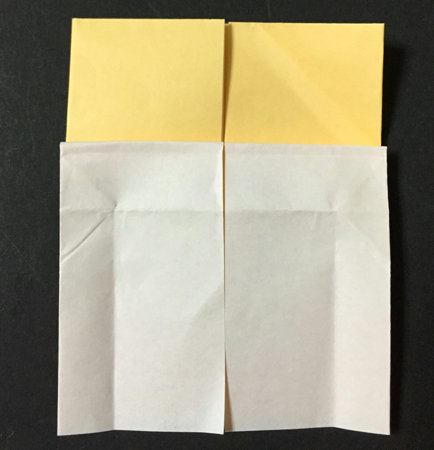 Kinoko2.origami.5
