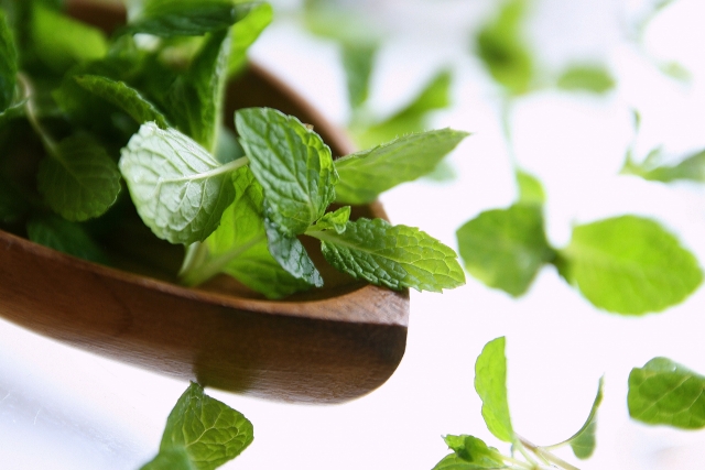 京都祇園花月の吉本新喜劇の場所は？