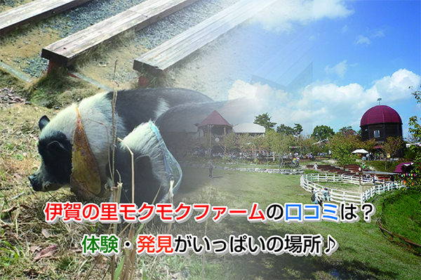 Mokumoku farm Eye-catching image2