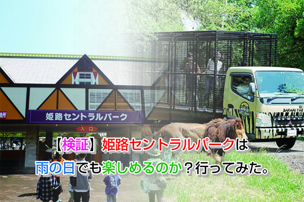 福岡市動物園のレストランがリニューアル！ランチ情報を徹底まとめ
